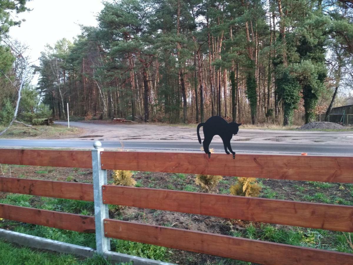 Koci Grzbiet Agroturystyka Dzierzazno Wielkie Eksteriør bilde